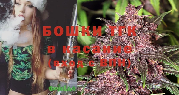 ГАЛЛЮЦИНОГЕННЫЕ ГРИБЫ Медногорск