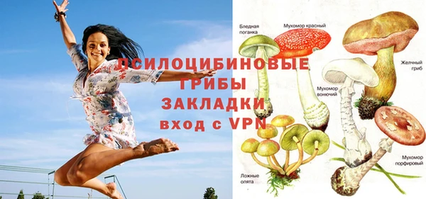 ГАЛЛЮЦИНОГЕННЫЕ ГРИБЫ Медногорск