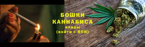 PSILOCYBIN Медвежьегорск