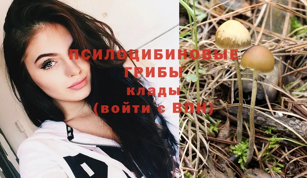 PSILOCYBIN Медвежьегорск