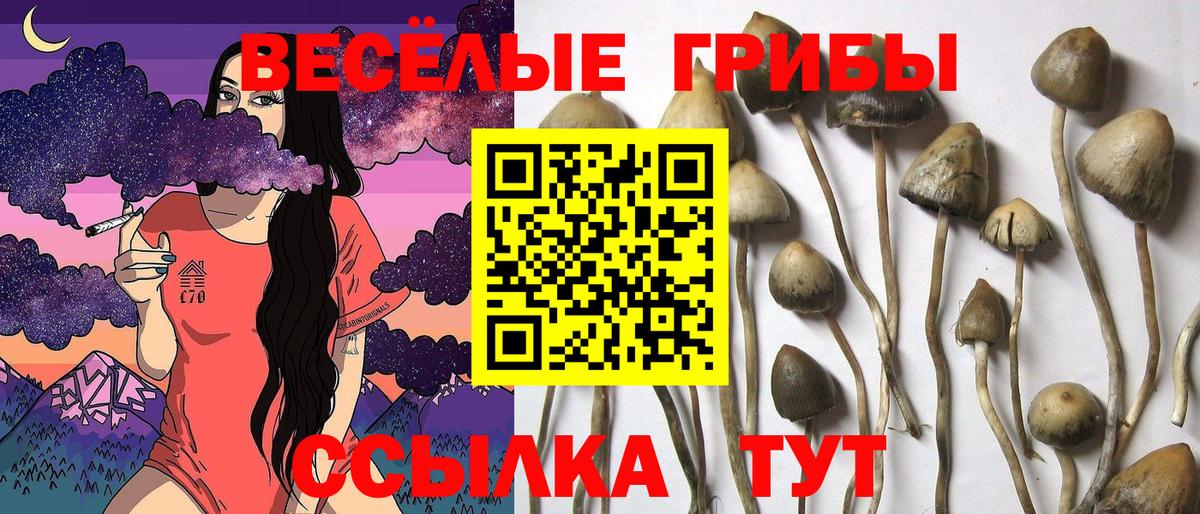 Псилоцибиновые грибы мицелий  продажа наркотиков  Таганрог  Вход с VPN 