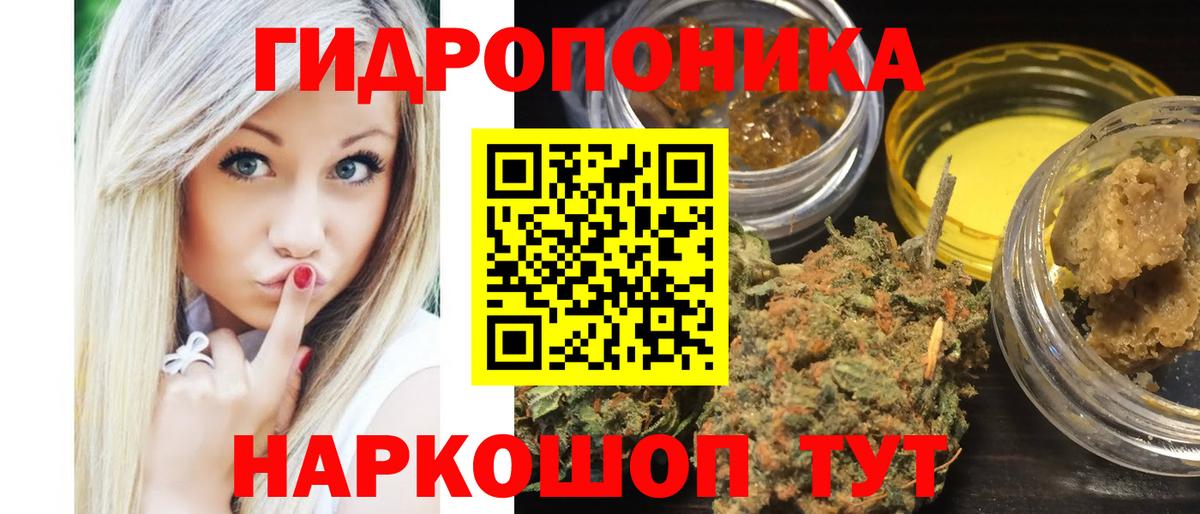 Бошки Шишки сатива Таганрог